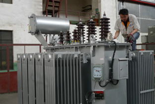高原之巔的電力守護者 昆變三系列高原型變壓器通過省級鑒定